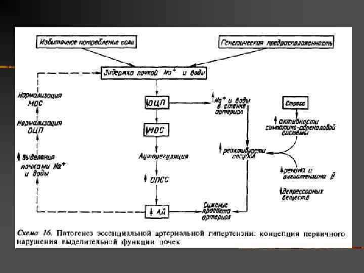 Схему гипертоническая болезнь