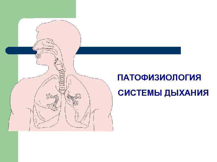 Патофизиология внешнего дыхания презентация