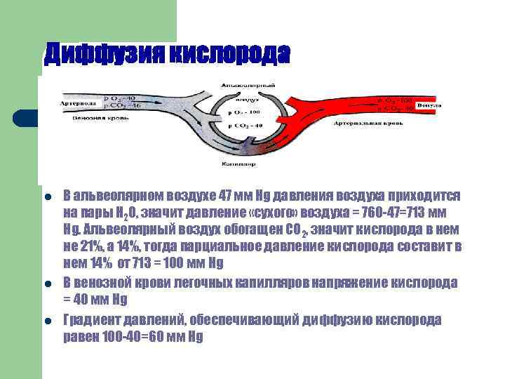 Диффузия кислорода l Р О 2 в воздухе = 21% от 760 = 159