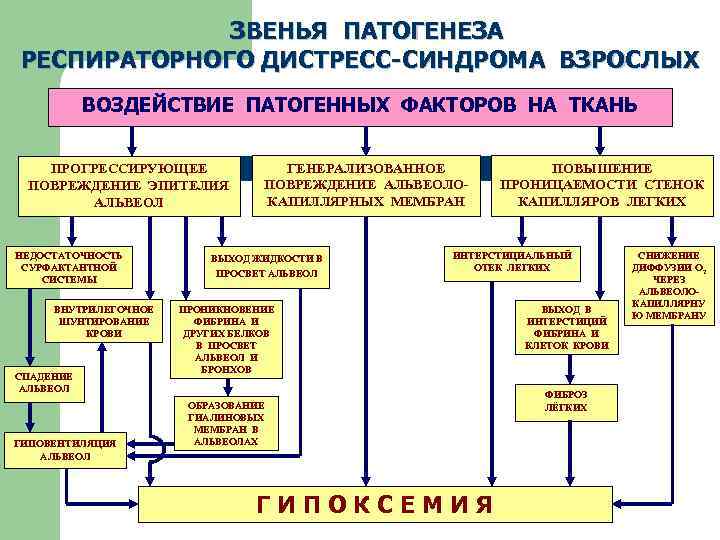  ЗВЕНЬЯ ПАТОГЕНЕЗА РЕСПИРАТОРНОГО ДИСТРЕСС-СИНДРОМА ВЗРОСЛЫХ ВОЗДЕЙСТВИЕ ПАТОГЕННЫХ ФАКТОРОВ НА ТКАНЬ ПРОГРЕССИРУЮЩЕЕ ГЕНЕРАЛИЗОВАННОЕ ПОВЫШЕНИЕ