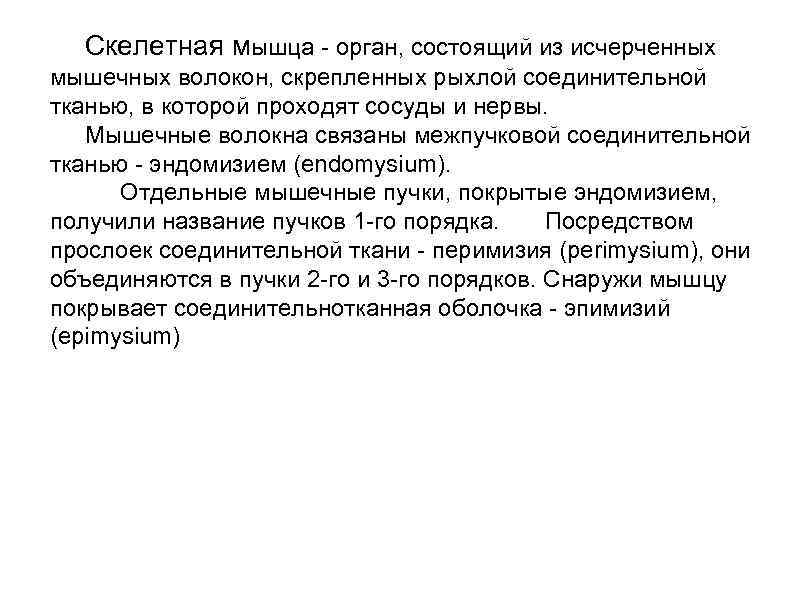  Скелетная мышца - орган, состоящий из исчерченных мышечных волокон, скрепленных рыхлой соединительной тканью,