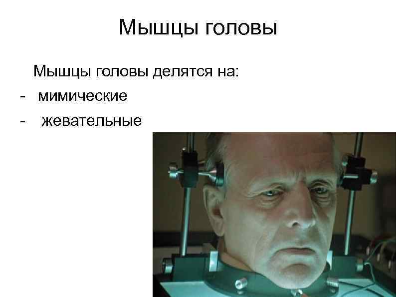  Мышцы головы делятся на: - мимические - жевательные 