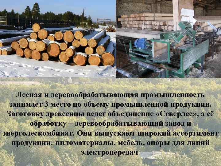  Лесная и деревообрабатывающая промышленность занимает 3 место по объему промышленной продукции. Заготовку древесины