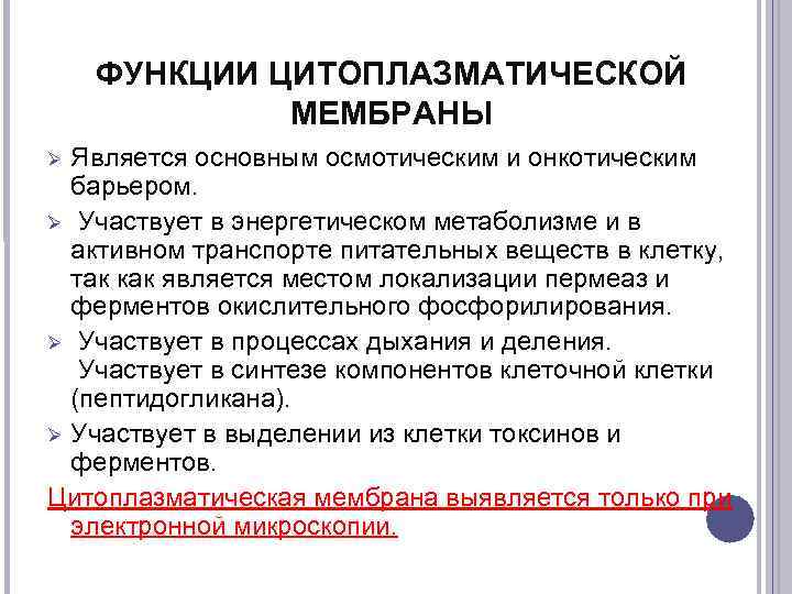  ФУНКЦИИ ЦИТОПЛАЗМАТИЧЕСКОЙ   МЕМБРАНЫ  Является основным осмотическим и онкотическим 