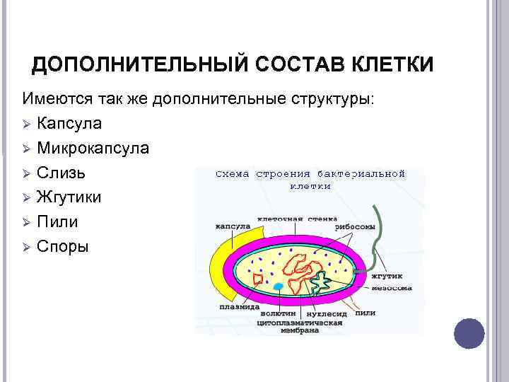 Дополните структуру