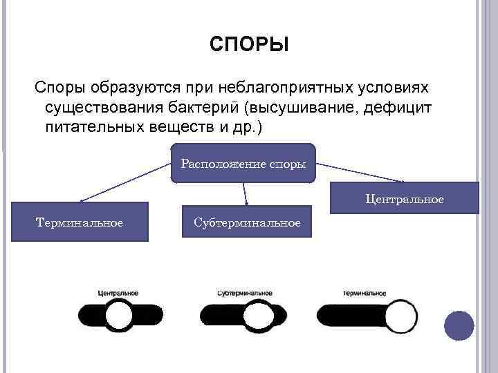 Образованный при условии