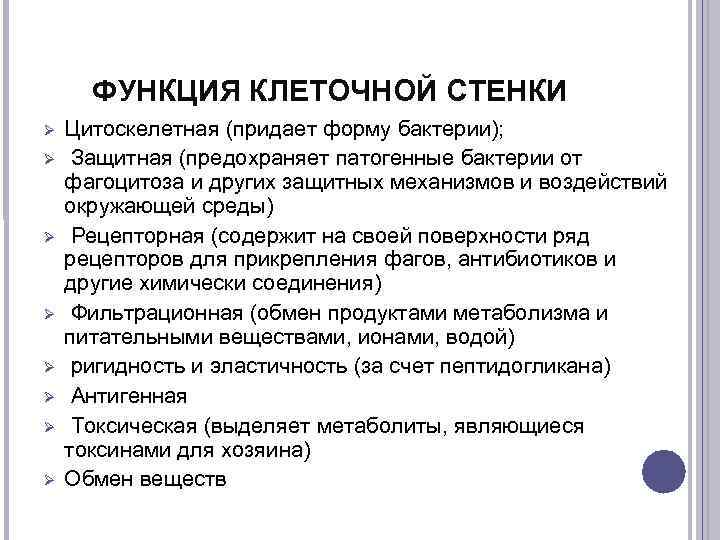  ФУНКЦИЯ КЛЕТОЧНОЙ СТЕНКИ Цитоскелетная (придает форму бактерии);  Защитная (предохраняет патогенные бактерии от