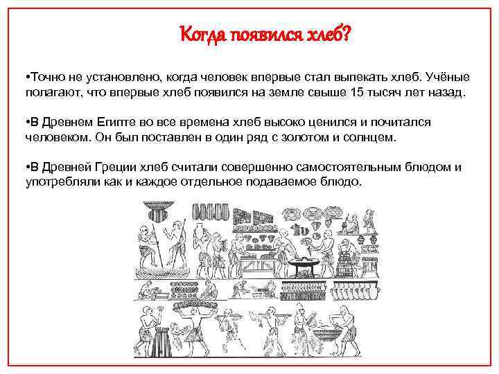  Когда появился хлеб? • Точно не установлено, когда человек впервые стал выпекать хлеб.