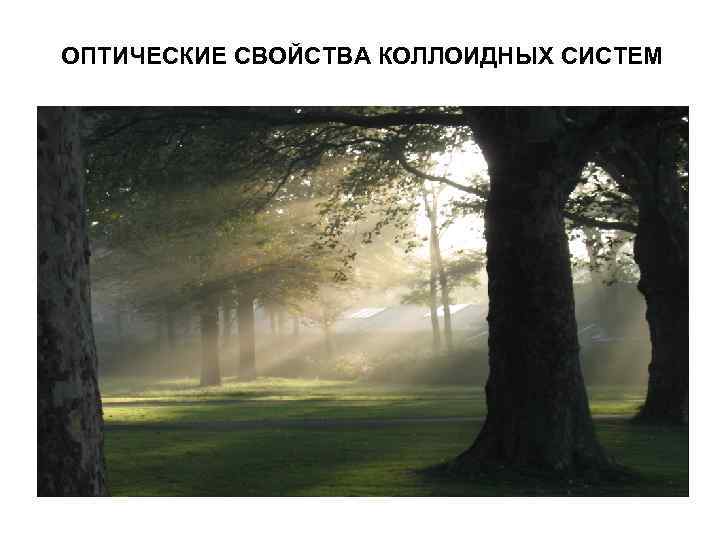 ОПТИЧЕСКИЕ СВОЙСТВА КОЛЛОИДНЫХ СИСТЕМ ОПТИЧЕСКИЕ СВОЙСТВА КОЛЛОИДНЫХ СИСТЕМ