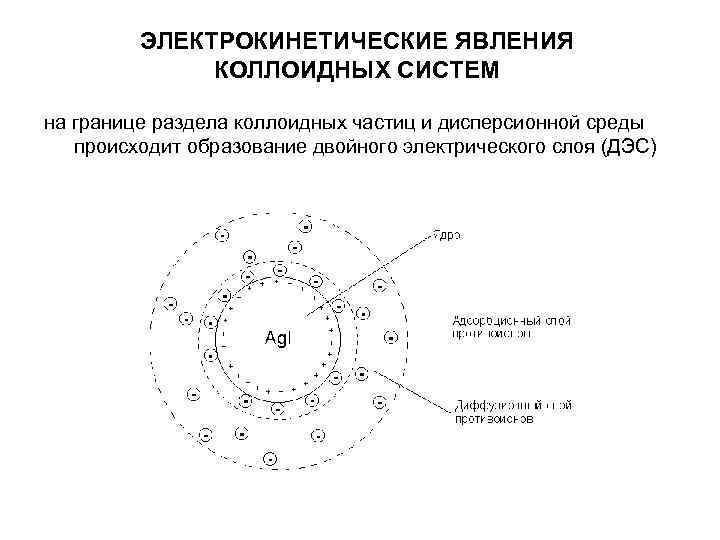 ЭЛЕКТРОКИНЕТИЧЕСКИЕ ЯВЛЕНИЯ КОЛЛОИДНЫХ СИСТЕМ на границе раздела коллоидных ЭЛЕКТРОКИНЕТИЧЕСКИЕ ЯВЛЕНИЯ КОЛЛОИДНЫХ СИСТЕМ на границе раздела коллоидных