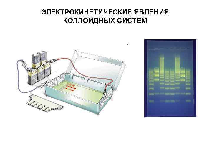 ЭЛЕКТРОКИНЕТИЧЕСКИЕ ЯВЛЕНИЯ КОЛЛОИДНЫХ СИСТЕМ ЭЛЕКТРОКИНЕТИЧЕСКИЕ ЯВЛЕНИЯ КОЛЛОИДНЫХ СИСТЕМ
