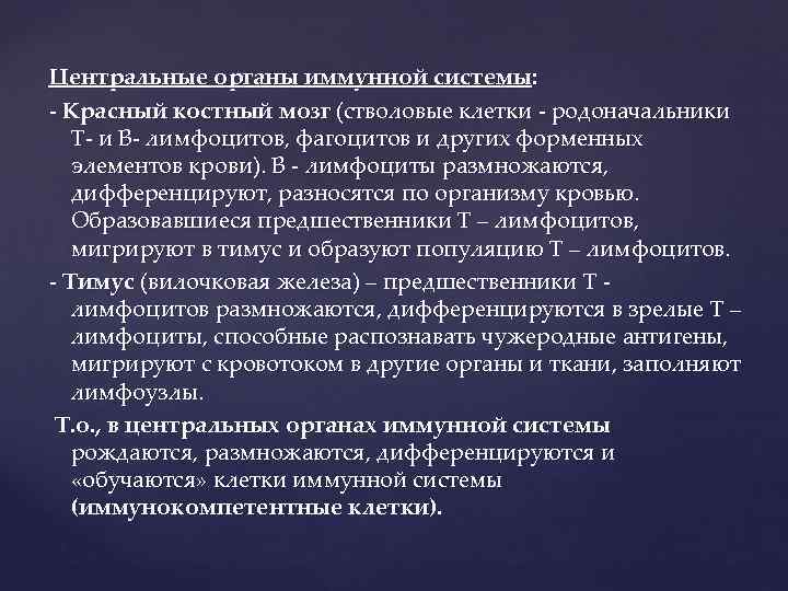 Центральные органы иммунной системы: - Красный костный мозг (стволовые клетки - родоначальники Т- и