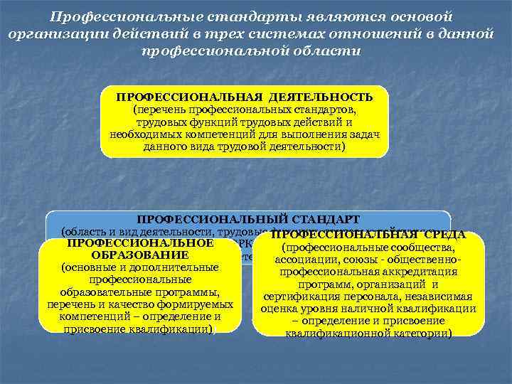  Профессиональные стандарты являются основой организации действий в трех системах отношений в данной профессиональной