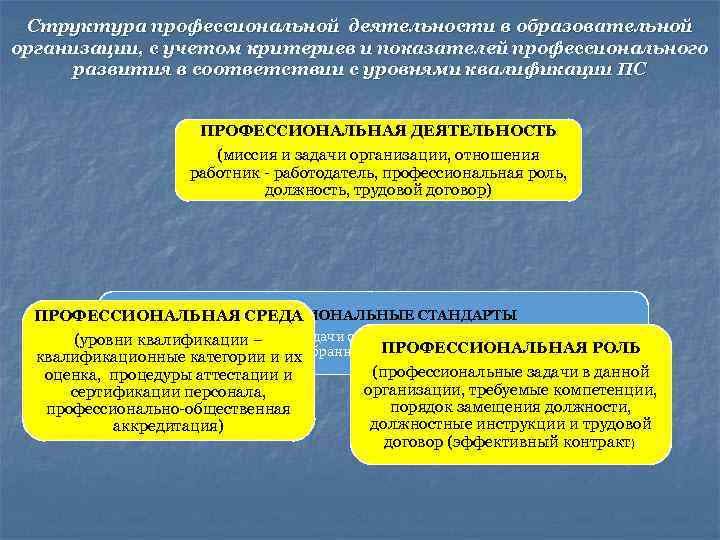  Структура профессиональной деятельности в образовательной организации, с учетом критериев и показателей профессионального развития