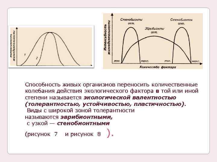 Организма перенос