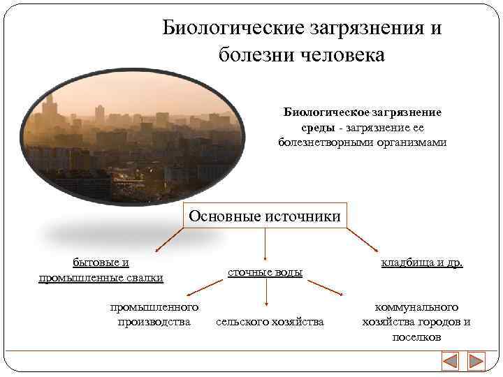    Биологические загрязнения и    болезни человека   