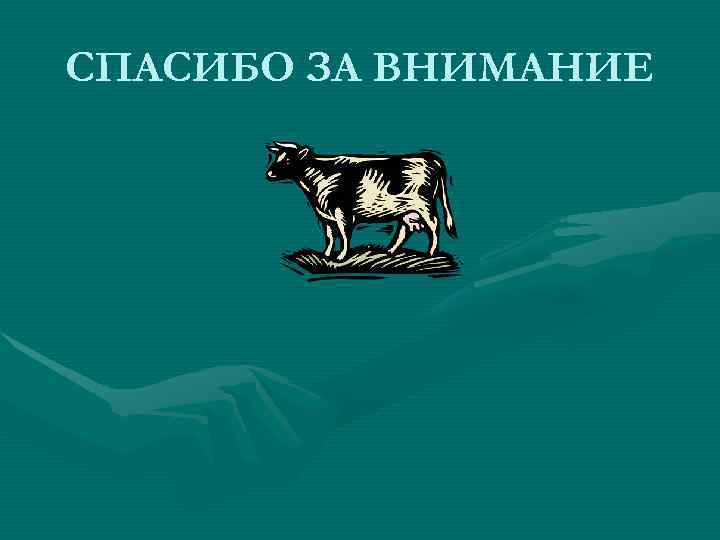 СПАСИБО ЗА ВНИМАНИЕ 