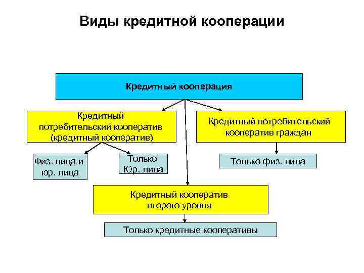  Виды кредитной кооперации Кредитный кооперация Кредитный Кредитный потребительский кооператив кооператив граждан (кредитный кооператив)