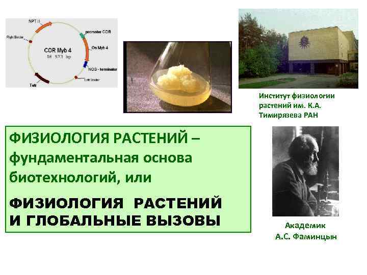  Институт физиологии растений им. К. А. Тимирязева РАН ФИЗИОЛОГИЯ РАСТЕНИЙ – фундаментальная основа