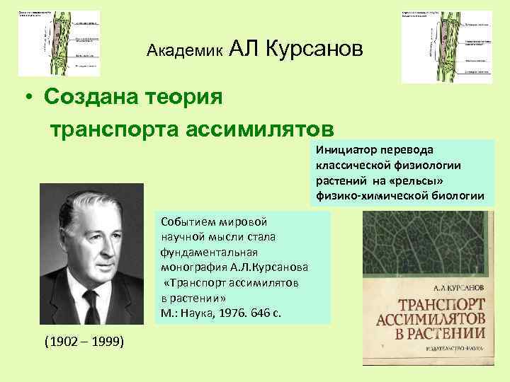  Академик АЛ Курсанов • Создана теория транспорта ассимилятов Инициатор перевода классической физиологии растений