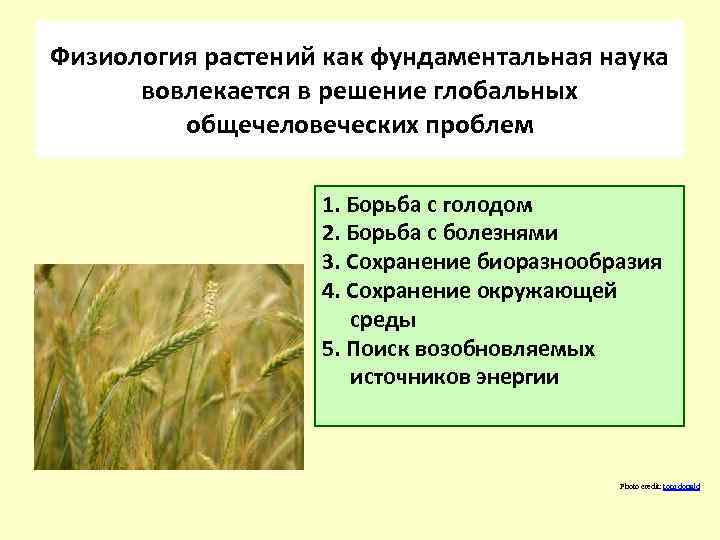  Физиология растений, как Физиология растений как фундаментальная наука, глобальных вовлекается в решение имеет