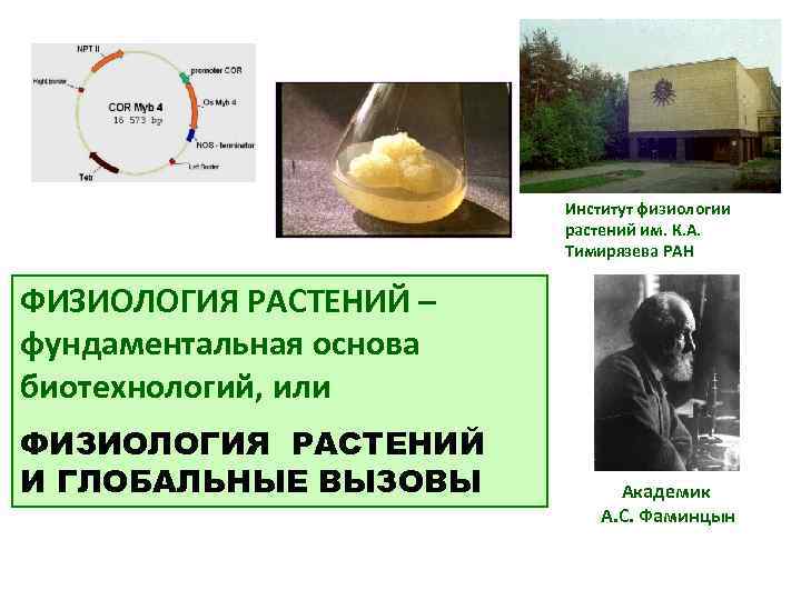  Институт физиологии растений им. К. А. Тимирязева РАН ФИЗИОЛОГИЯ РАСТЕНИЙ – фундаментальная основа