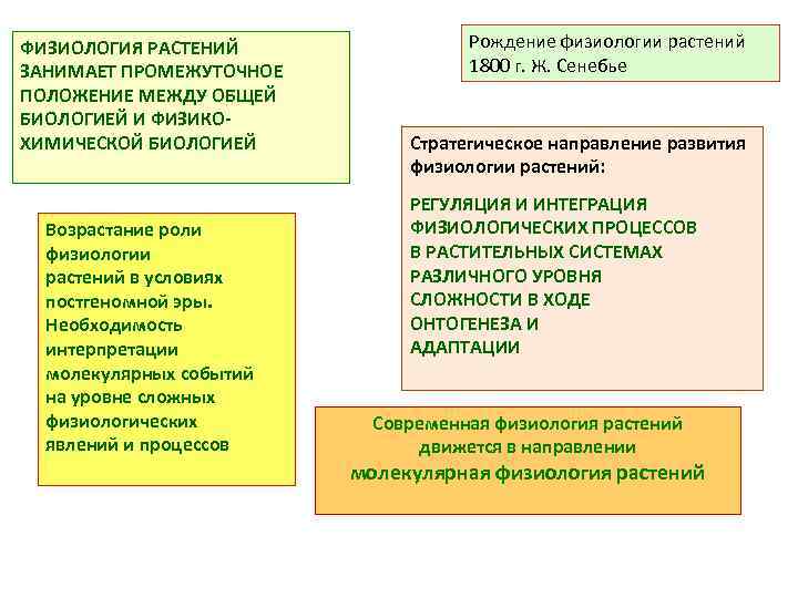 ФИЗИОЛОГИЯ РАСТЕНИЙ Рождение физиологии растений ЗАНИМАЕТ ПРОМЕЖУТОЧНОЕ 1800 г. Ж. Сенебье ПОЛОЖЕНИЕ МЕЖДУ ОБЩЕЙ