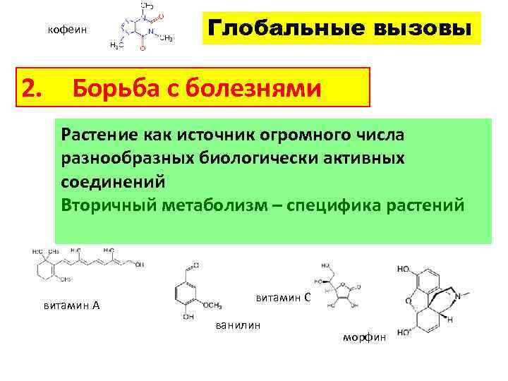  кофеин Глобальные вызовы 2. Борьба с болезнями Растение как источник огромного числа разнообразных