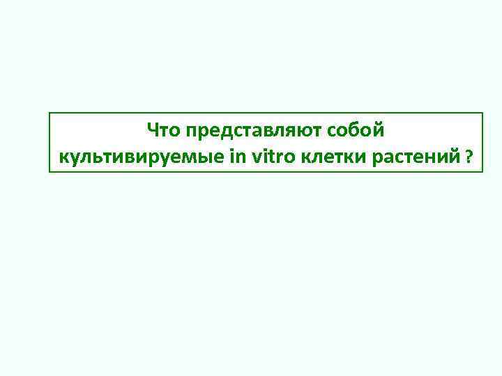  Что представляют собой культивируемые in vitro клетки растений ? 