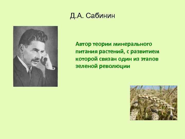 Д. А. Сабинин Автор теории минерального питания растений, с развитием которой связан один из