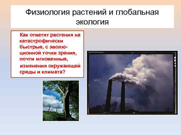  Физиология растений и глобальная экология Как ответят растения на катастрофически быстрые, с эволю-