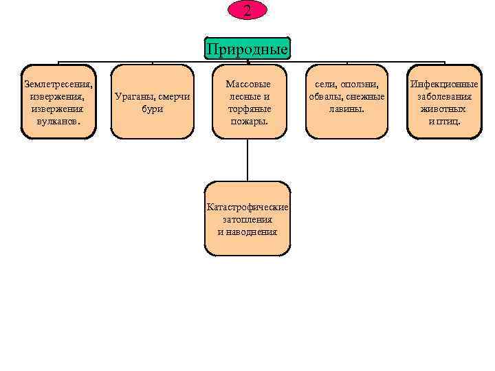  2 Природные Землетресения, Массовые сели, оползни, Инфекционные извержения, Ураганы, смерчи лесные и обвалы,