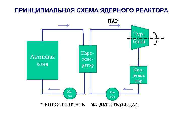 ПРИНЦИПИАЛЬНАЯ СХЕМА ЯДЕРНОГО РЕАКТОРА ПАР Тур- бина Паро- Активная гене- зона ратор Кон- денса