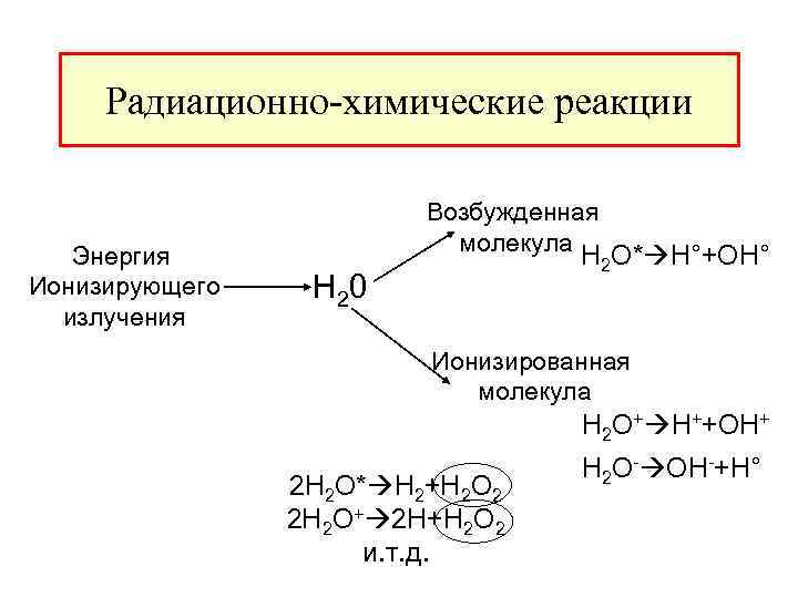  Радиационно-химические реакции Возбужденная молекула Энергия H 2 O* H°+OH° Ионизирующего H 20 излучения