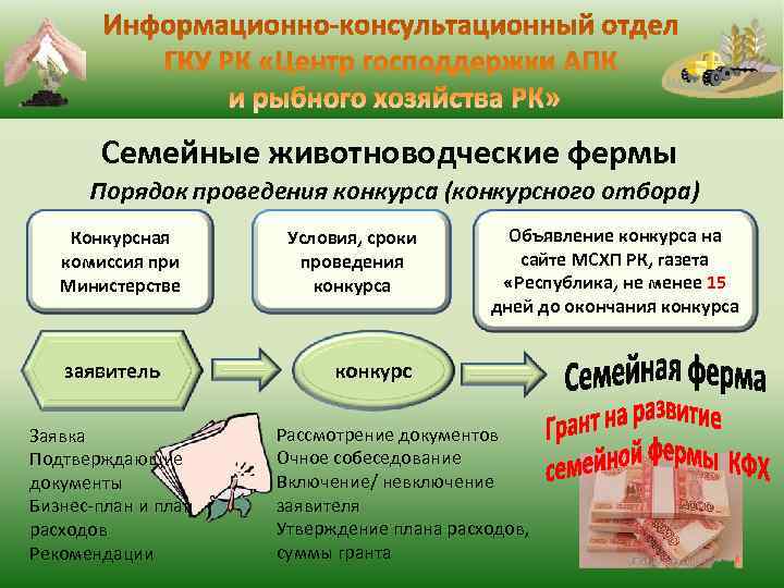  Семейные животноводческие фермы Порядок проведения конкурса (конкурсного отбора) Конкурсная Условия, сроки Объявление конкурса