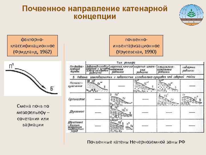  Почвенное направление катенарной концепции факторно- почвенно- классификационное инвентаризационное (Фридланд, 1962) (Урусевская, 1990) Смена