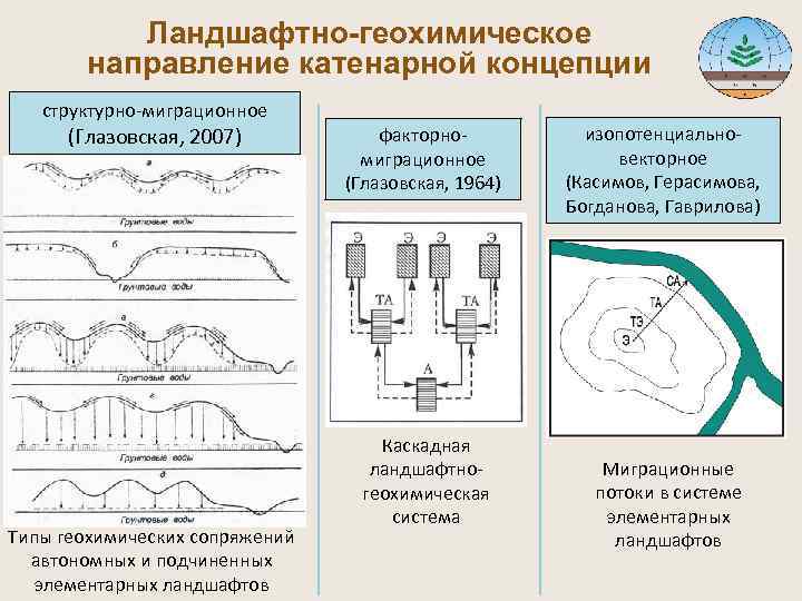  Ландшафтно-геохимическое направление катенарной концепции структурно-миграционное (Глазовская, 2007) факторно- изопотенциально- миграционное векторное (Глазовская, 1964)