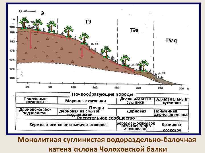 Карта почвообразующих пород