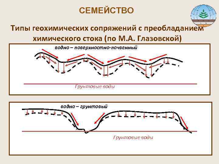  СЕМЕЙСТВО Типы геохимических сопряжений с преобладанием химического стока (по М. А. Глазовской) водно