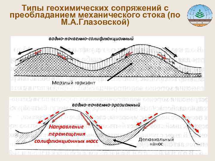  Типы геохимических сопряжений с преобладанием механического стока (по М. А. Глазовской) водно-почвенно-солифлюкционный Мерзлый