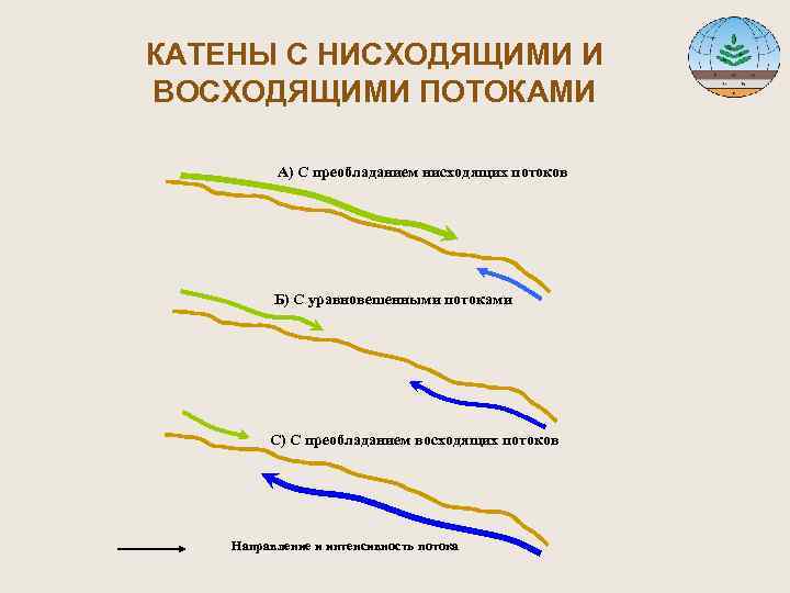 КАТЕНЫ С НИСХОДЯЩИМИ И ВОСХОДЯЩИМИ ПОТОКАМИ А) С преобладанием нисходящих потоков Б) С уравновешенными