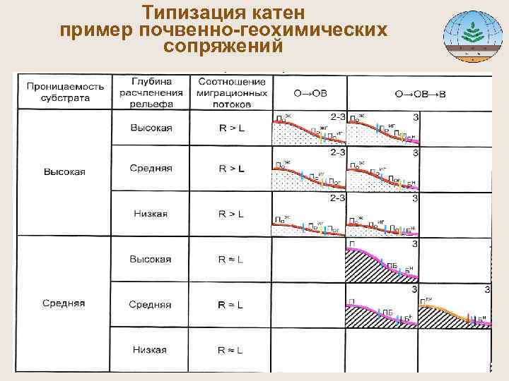  Типизация катен пример почвенно-геохимических сопряжений 