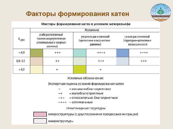 Факторы формирования катен 