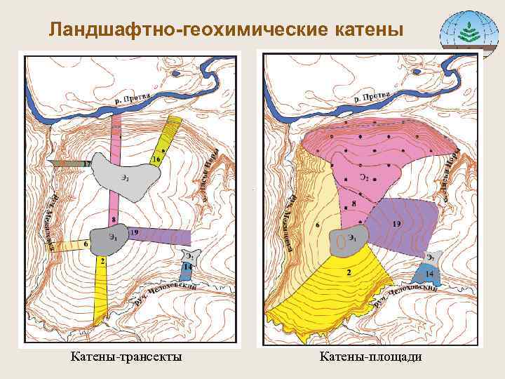 Ландшафтно-геохимические катены Катены-трансекты Катены-площади 