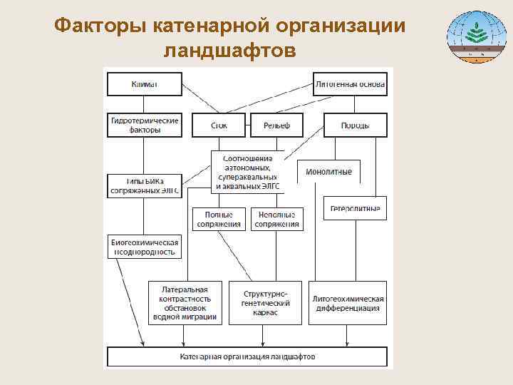 Факторы катенарной организации ландшафтов 