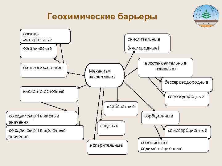  Геохимические барьеры органо- минеральные окислительные органические (кислородные) восстановительные биогеохимические (глеевые) Механизм закрепления бессероводородные