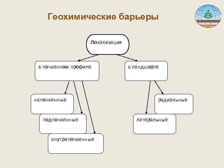  Геохимические барьеры Локализация в почвенном профиле в ландшафте напочвенные радиальные подпочвенные латеральные внутрипочвенные