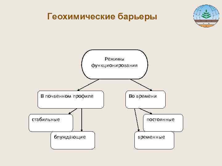  Геохимические барьеры Режимы функционирования В почвенном профиле Во времени стабильные постоянные блуждающие временные