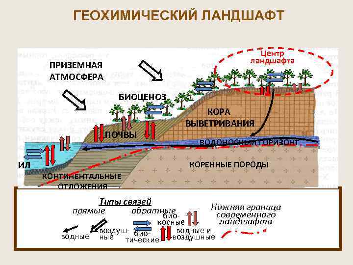  ГЕОХИМИЧЕСКИЙ ЛАНДШАФТ Центр ландшафта ПРИЗЕМНАЯ АТМОСФЕРА БИОЦЕНОЗ КОРА ВЫВЕТРИВАНИЯ ПОЧВЫ ВОДОНОСНЫЙ ГОРИЗОНТ ИЛ