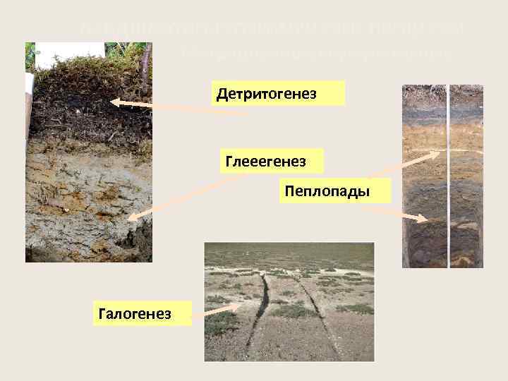 ЛАНДШАФТНО-ГЕОХИМИЧЕСКИЕ ПРОЦЕССЫ Миграционно-аккумулятивные Детритогенез Глееегенез Пеплопады Галогенез 